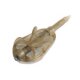 GURU 36g Small Method Feeder (X-Safe System)